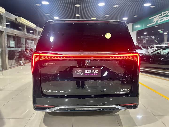 Фото 13 - Buick GL8 Century