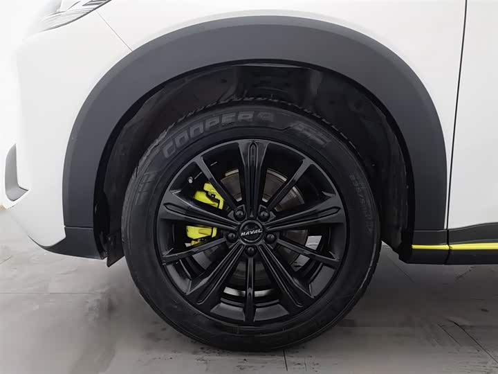 Фото 17 - Haval H6S