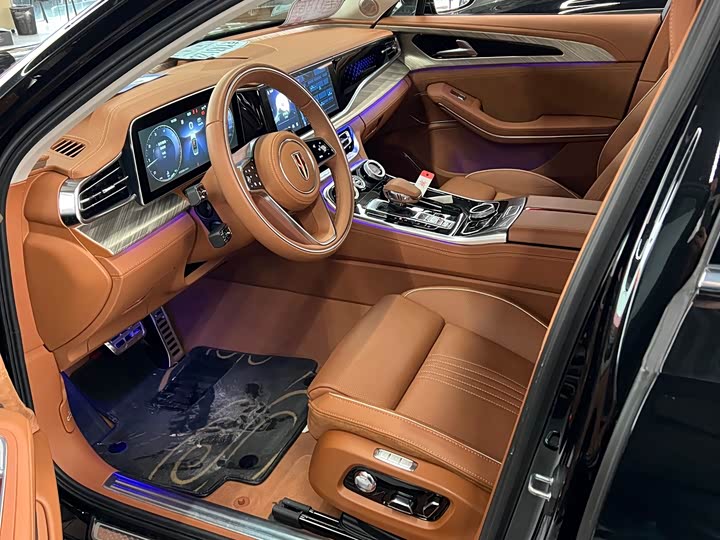 Фото 9 - Hongqi H9