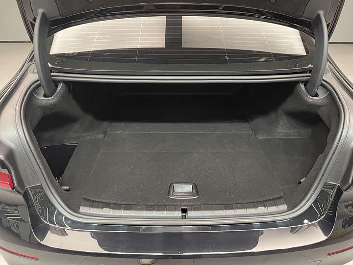 Фото 20 - BMW 5 Series Hybrid