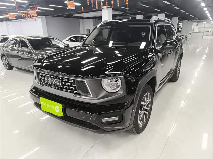 Фото 2 - Haval H-Dog