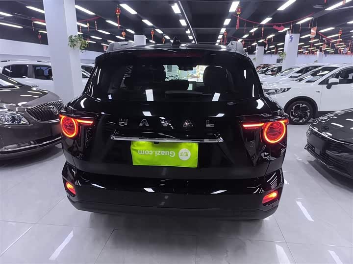 Фото 6 - Haval H-Dog