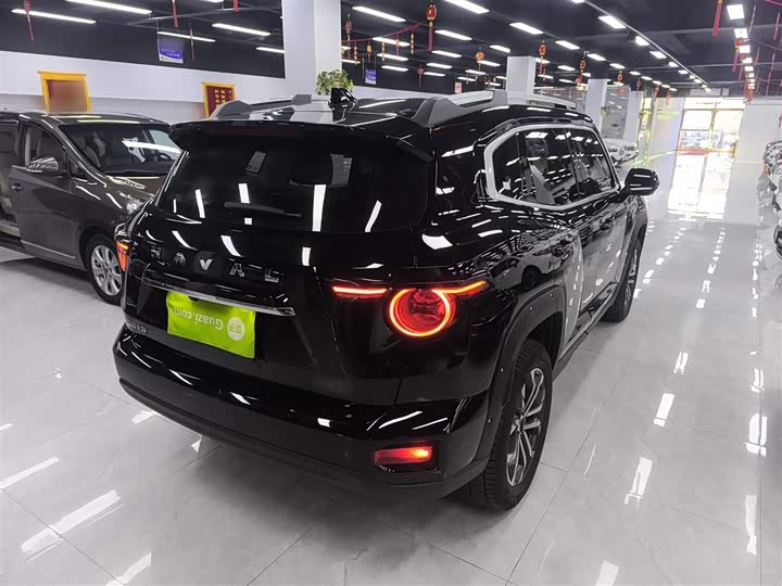 Фото 7 - Haval H-Dog