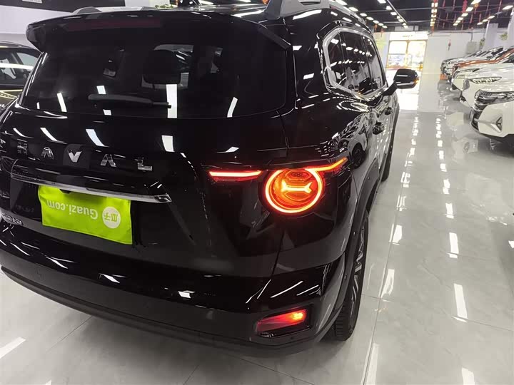 Фото 8 - Haval H-Dog