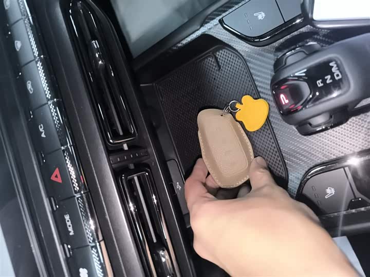 Фото 9 - Haval H-Dog