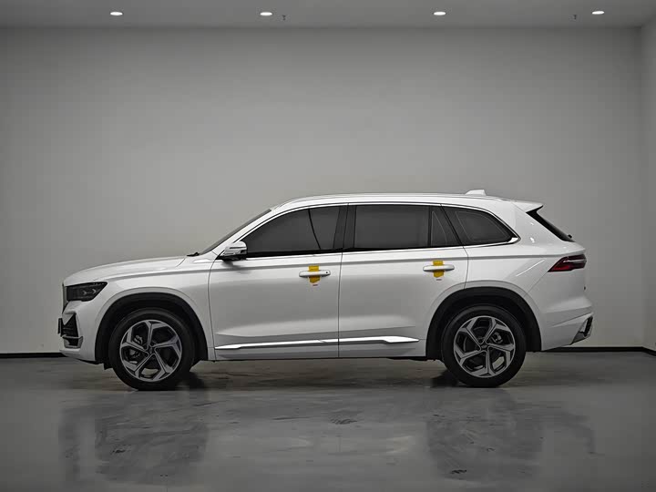 Фото 4 - Geely Monjaro