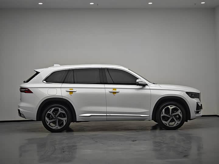 Фото 8 - Geely Monjaro