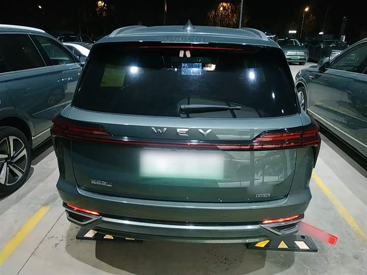 Фото 6 - Wey Lanshan