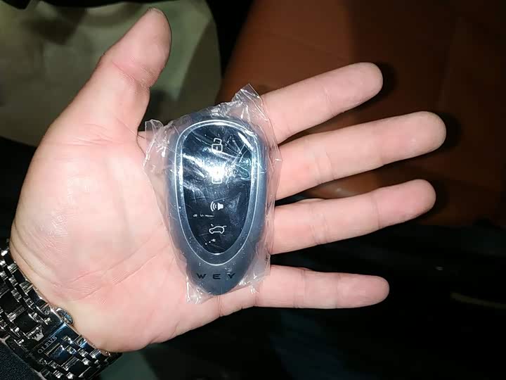 Фото 9 - Wey Lanshan