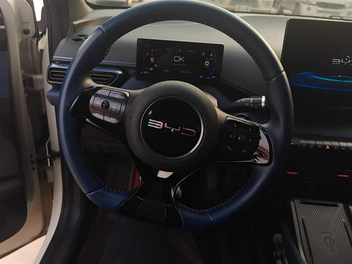 Фото 15 - BYD Seagull