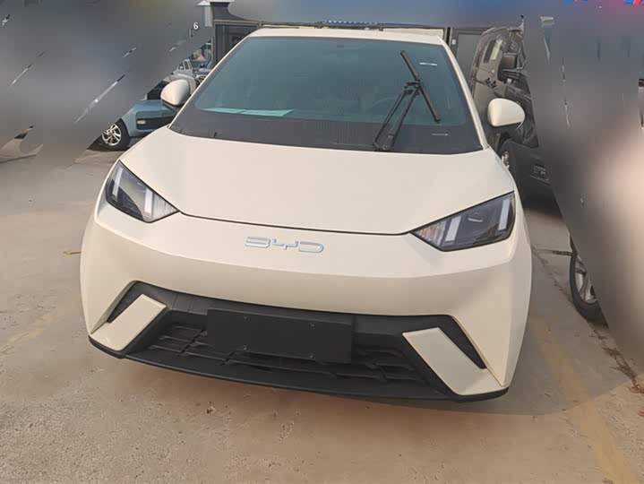 Фото 2 - BYD Seagull