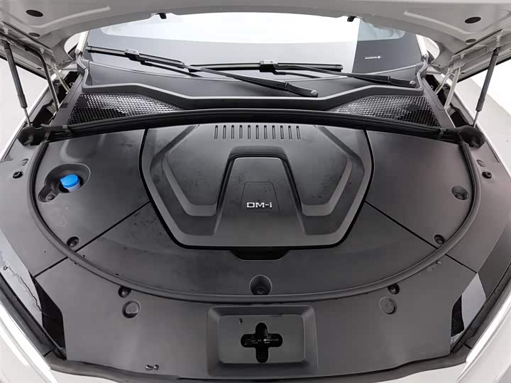 Фото 6 - BYD Song Plus Hybrid/EV