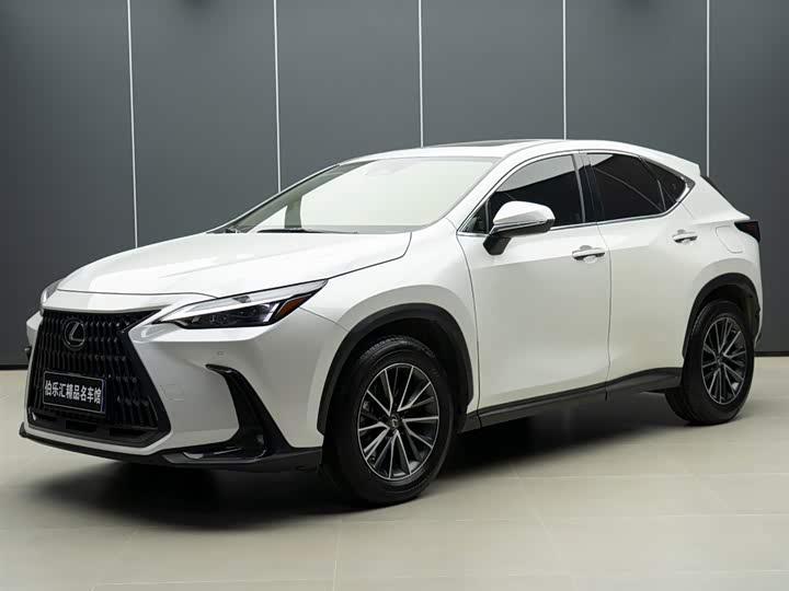 Фото 1 - Lexus NX