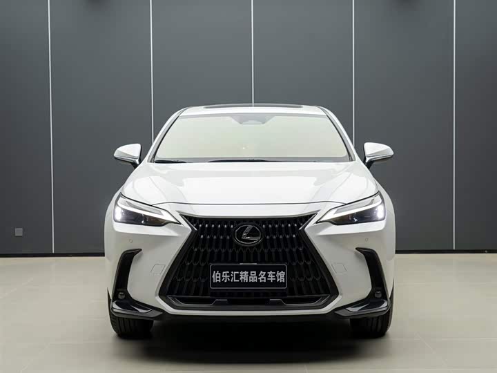Фото 2 - Lexus NX