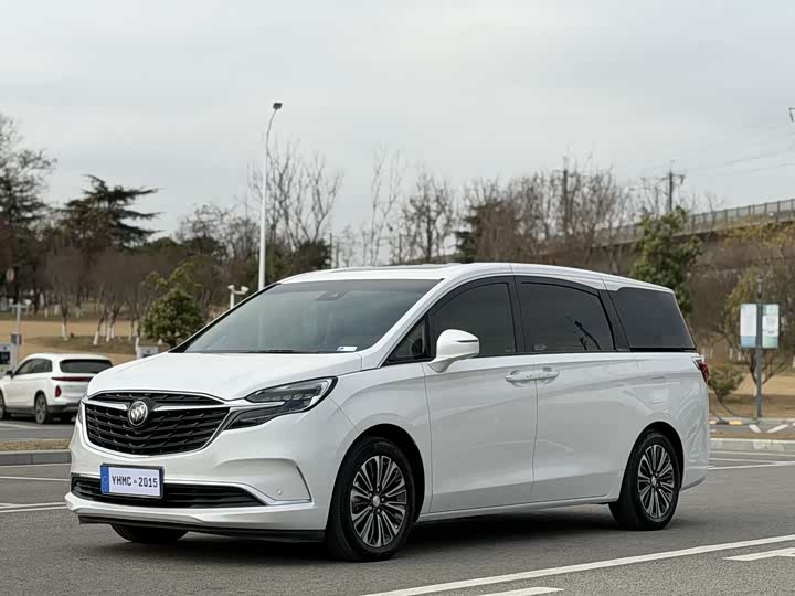 Фото 1 - Buick GL8 ES