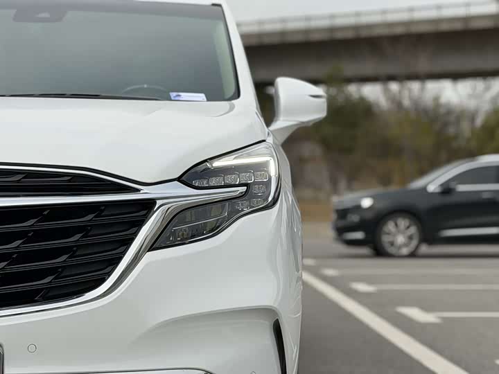 Фото 27 - Buick GL8 ES