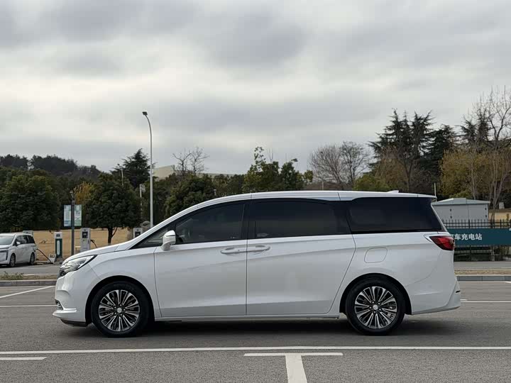 Фото 4 - Buick GL8 ES