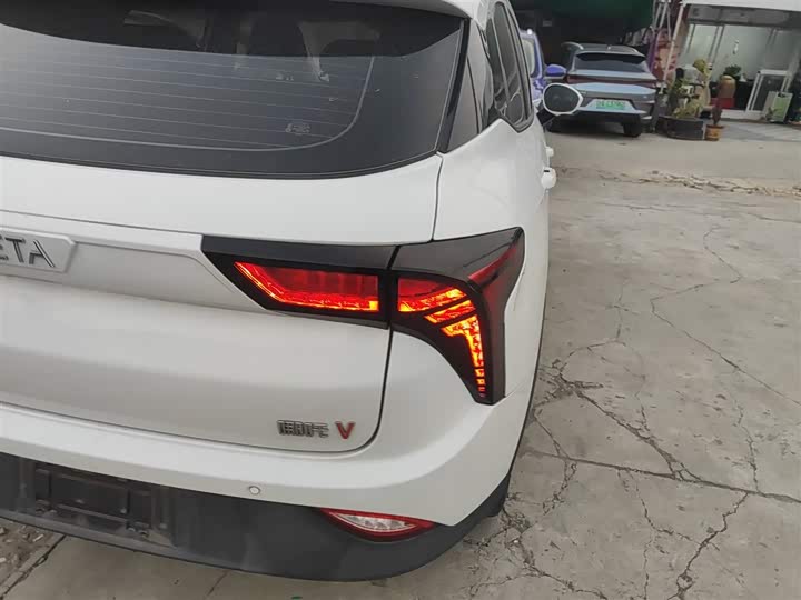 Фото 8 - Hozon V