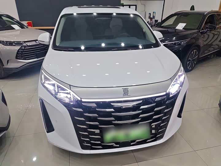 Фото 3 - BYD Xia