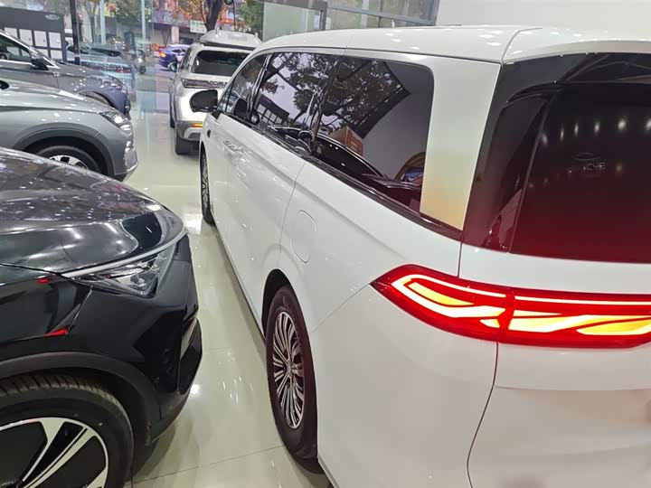 Фото 5 - BYD Xia