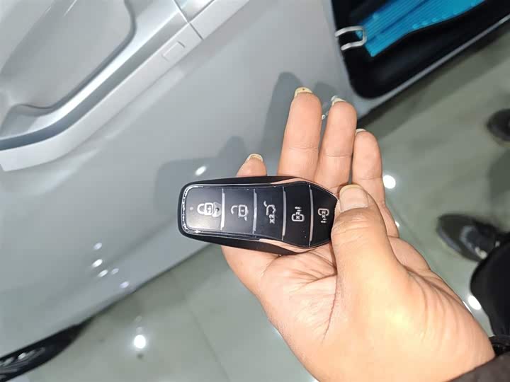 Фото 9 - BYD Xia