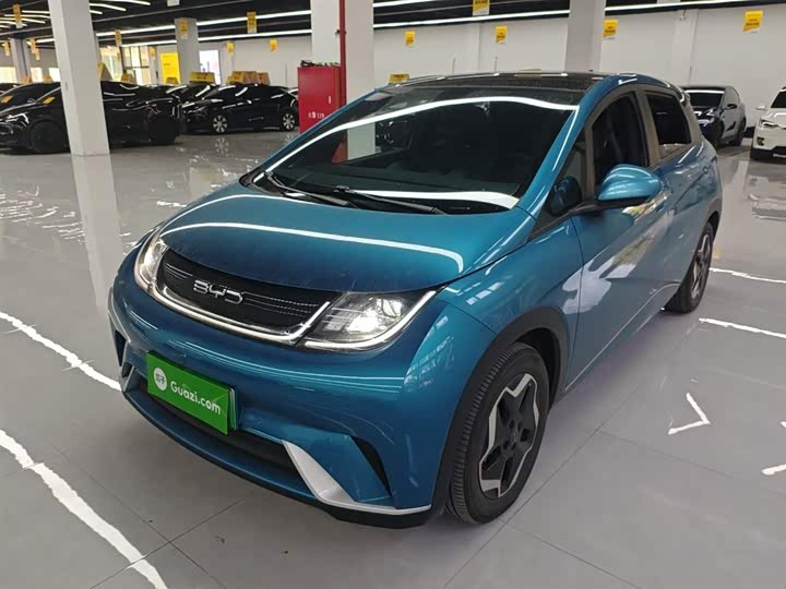 Фото 1 - BYD Dolphin