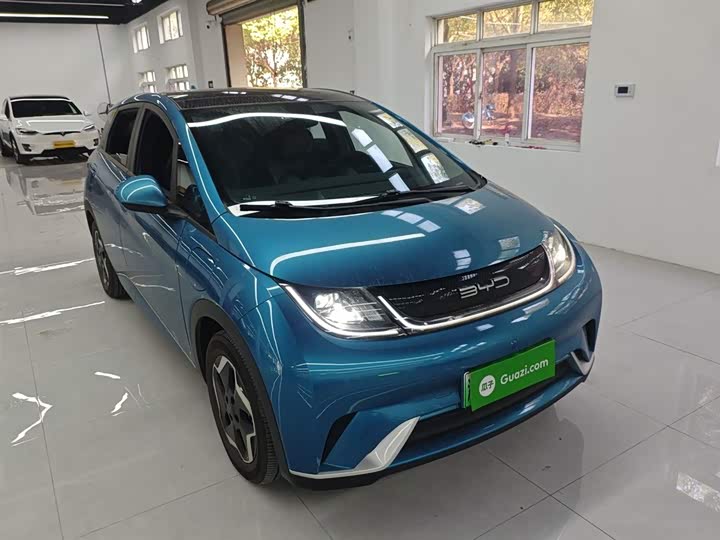 Фото 4 - BYD Dolphin