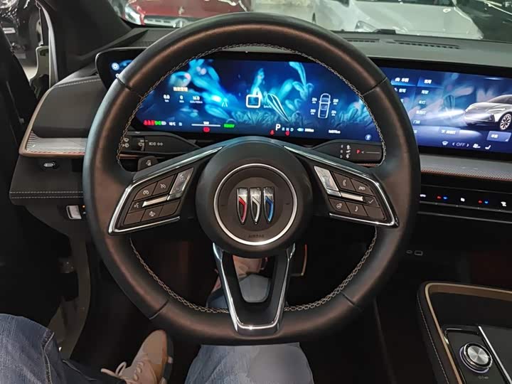 Фото 11 - Buick Electra E4