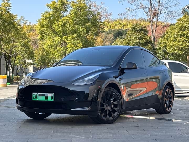 Фото 1 - Tesla Model Y