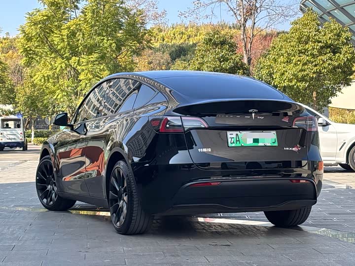 Фото 5 - Tesla Model Y
