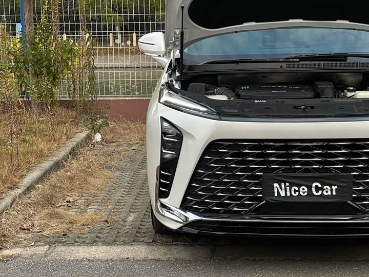 Фото 49 - Buick GL8 Hybrid