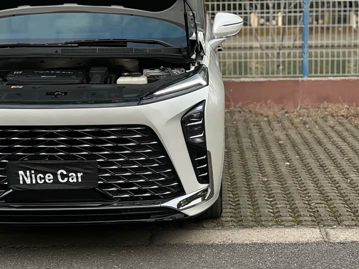 Фото 50 - Buick GL8 Hybrid