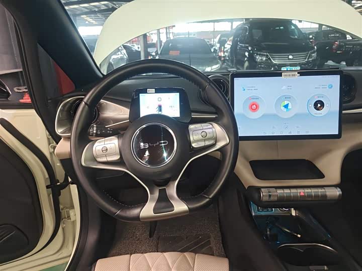 Фото 11 - BYD Dolphin