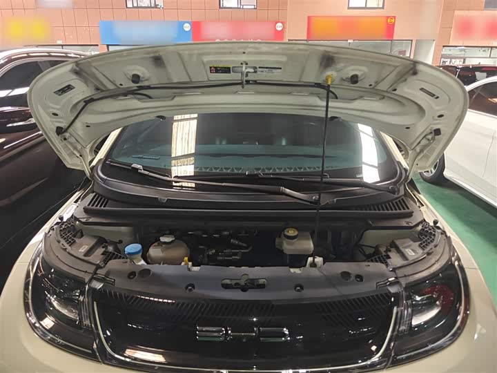 Фото 20 - BYD Dolphin