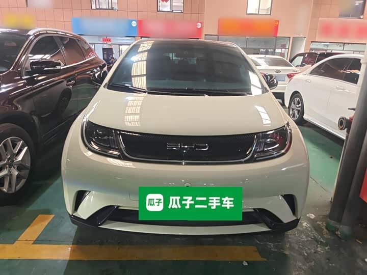 Фото 3 - BYD Dolphin