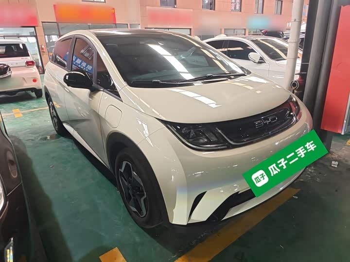 Фото 4 - BYD Dolphin