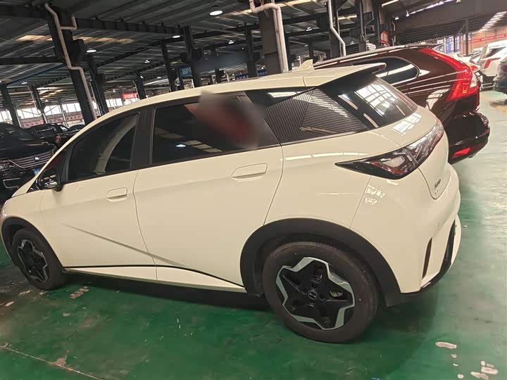 Фото 5 - BYD Dolphin