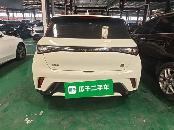 Фото 6 - BYD Dolphin