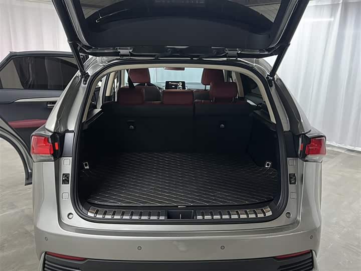 Фото 16 - Lexus NX