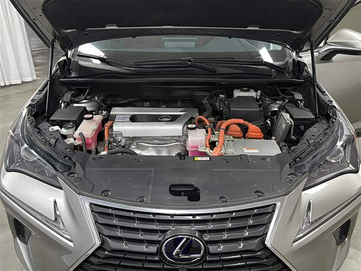 Фото 18 - Lexus NX