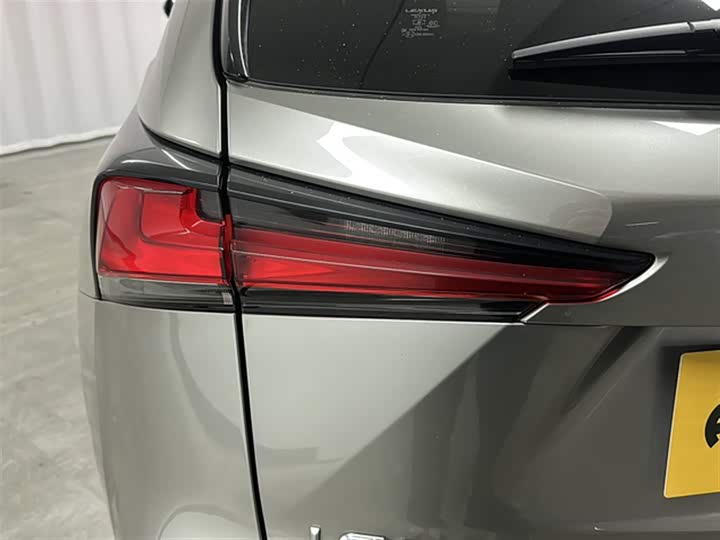 Фото 21 - Lexus NX