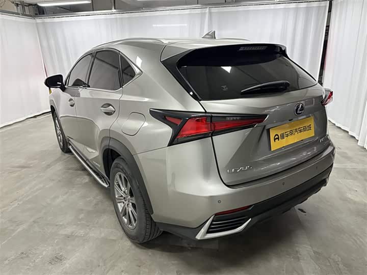 Фото 6 - Lexus NX