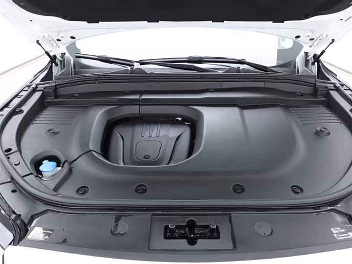 Фото 17 - Wey Lanshan