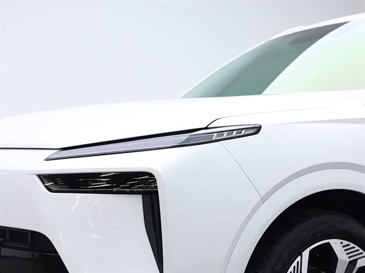 Фото 18 - Wey Lanshan