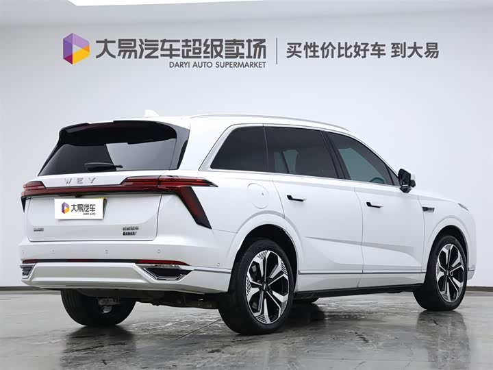 Фото 3 - Wey Lanshan