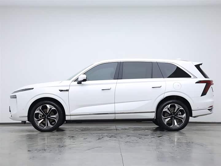 Фото 5 - Wey Lanshan