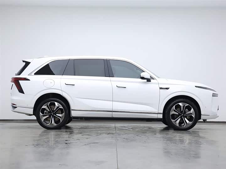 Фото 6 - Wey Lanshan