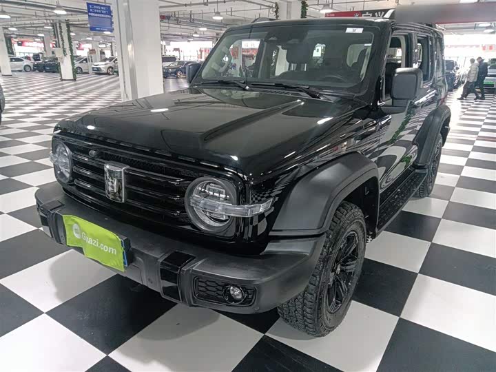 Фото 2 - Tank 300