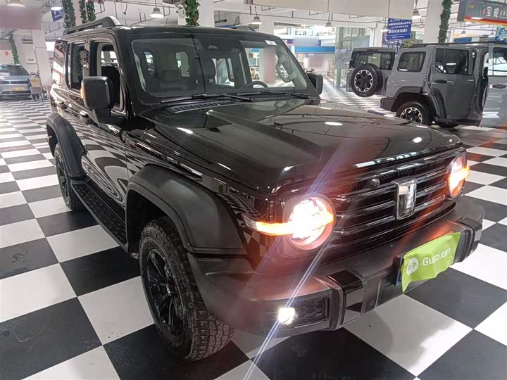 Фото 4 - Tank 300