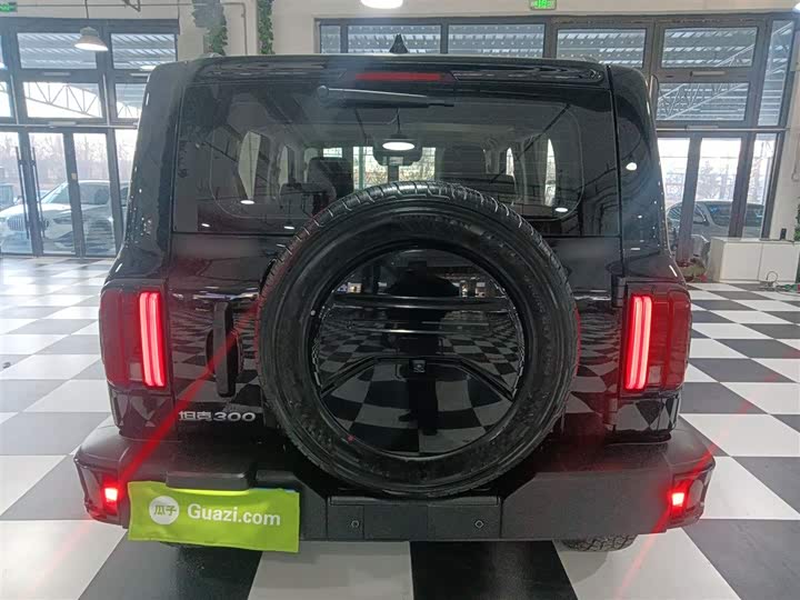 Фото 6 - Tank 300